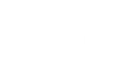 Vertigo - Digital Intelligence for Business